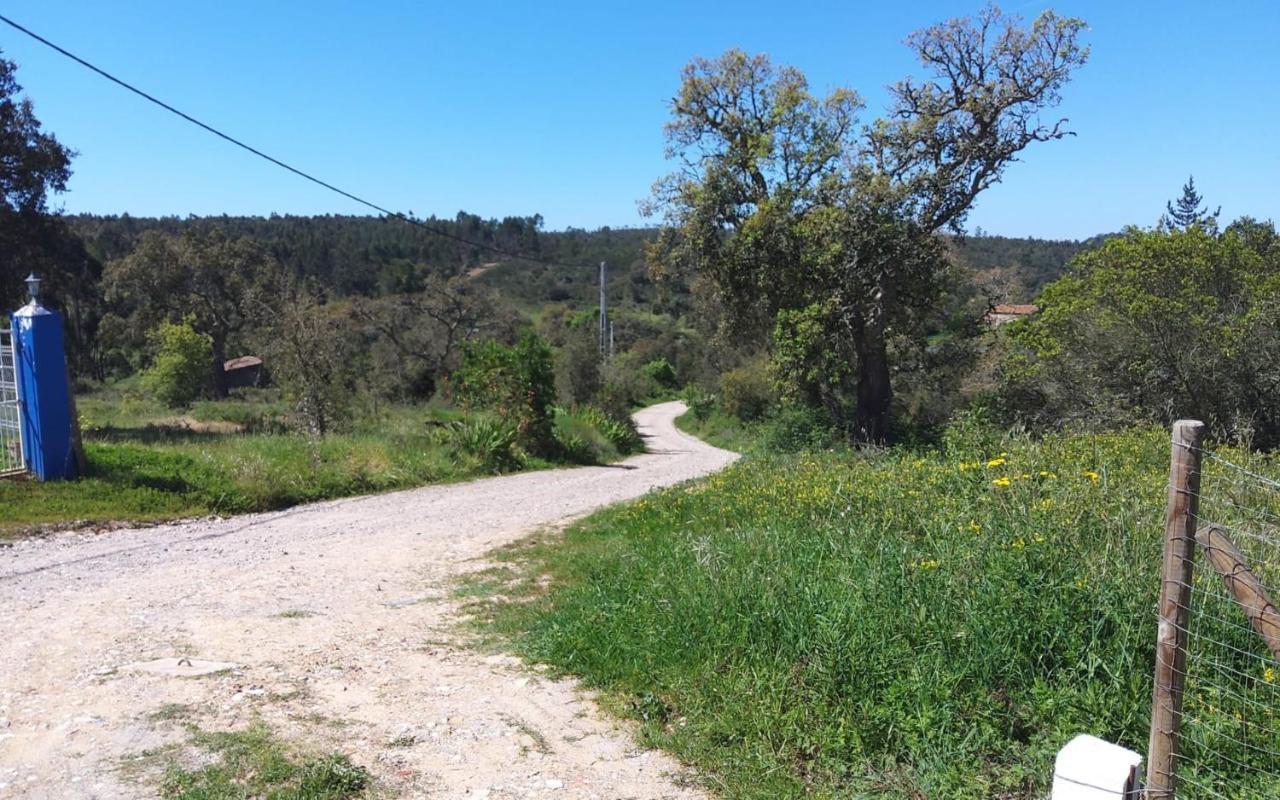 Casa Do Brejao Campo E Holiday home