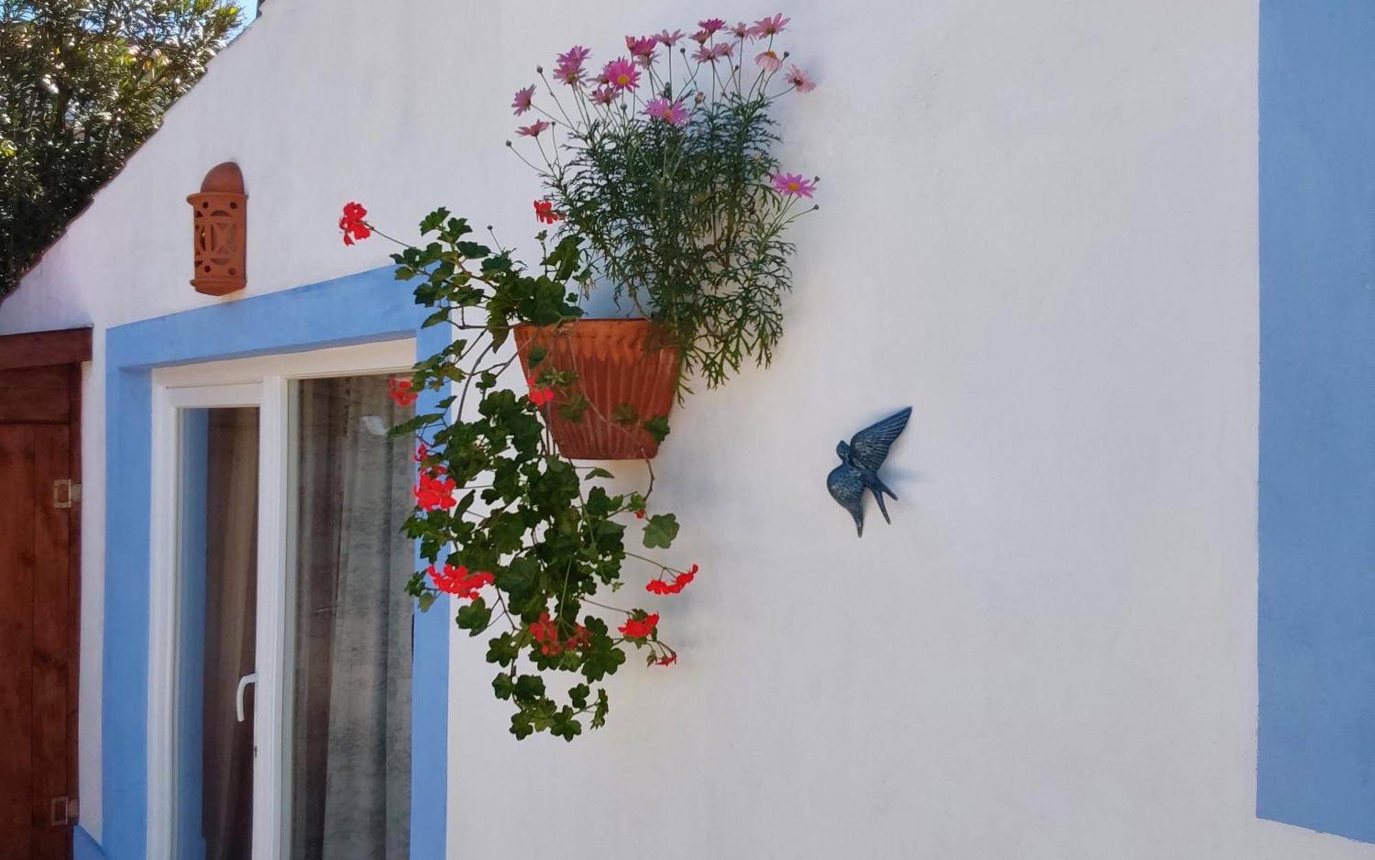 Casa Do Brejao Campo E Holiday home Odemira